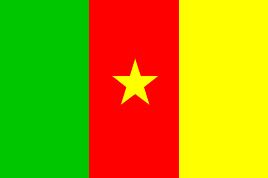 Cameroon flag