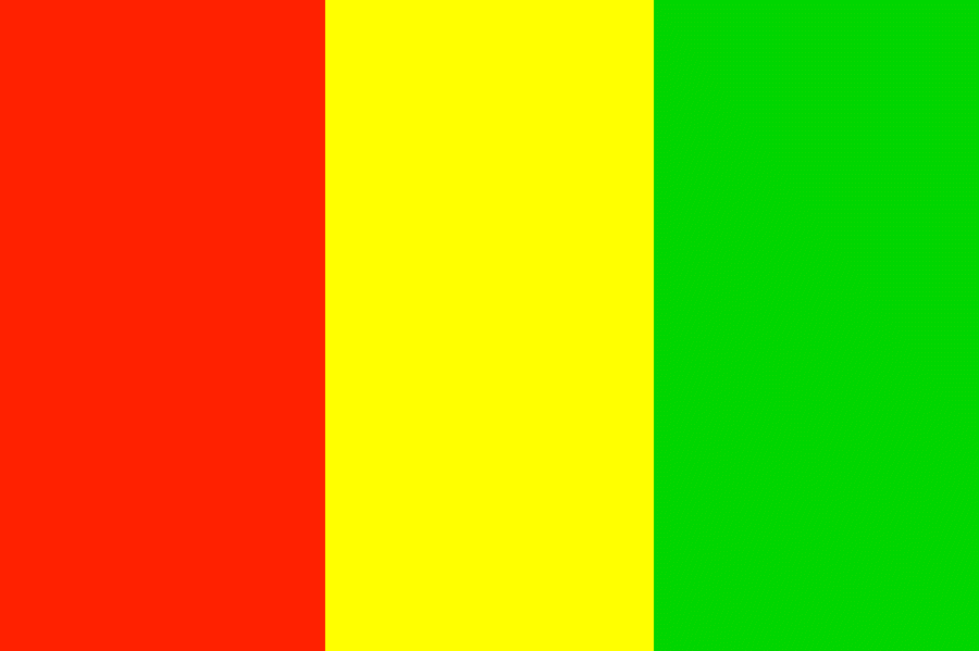 République de Guinée flag